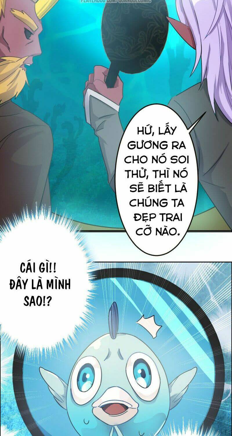 Khởi Đầu Bằng Một Con Côn: Chapter 1