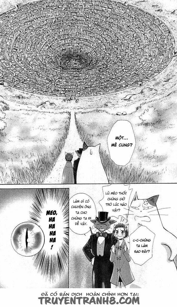 Lời Thì Thầm Từ Trái Tim: Chapter 8