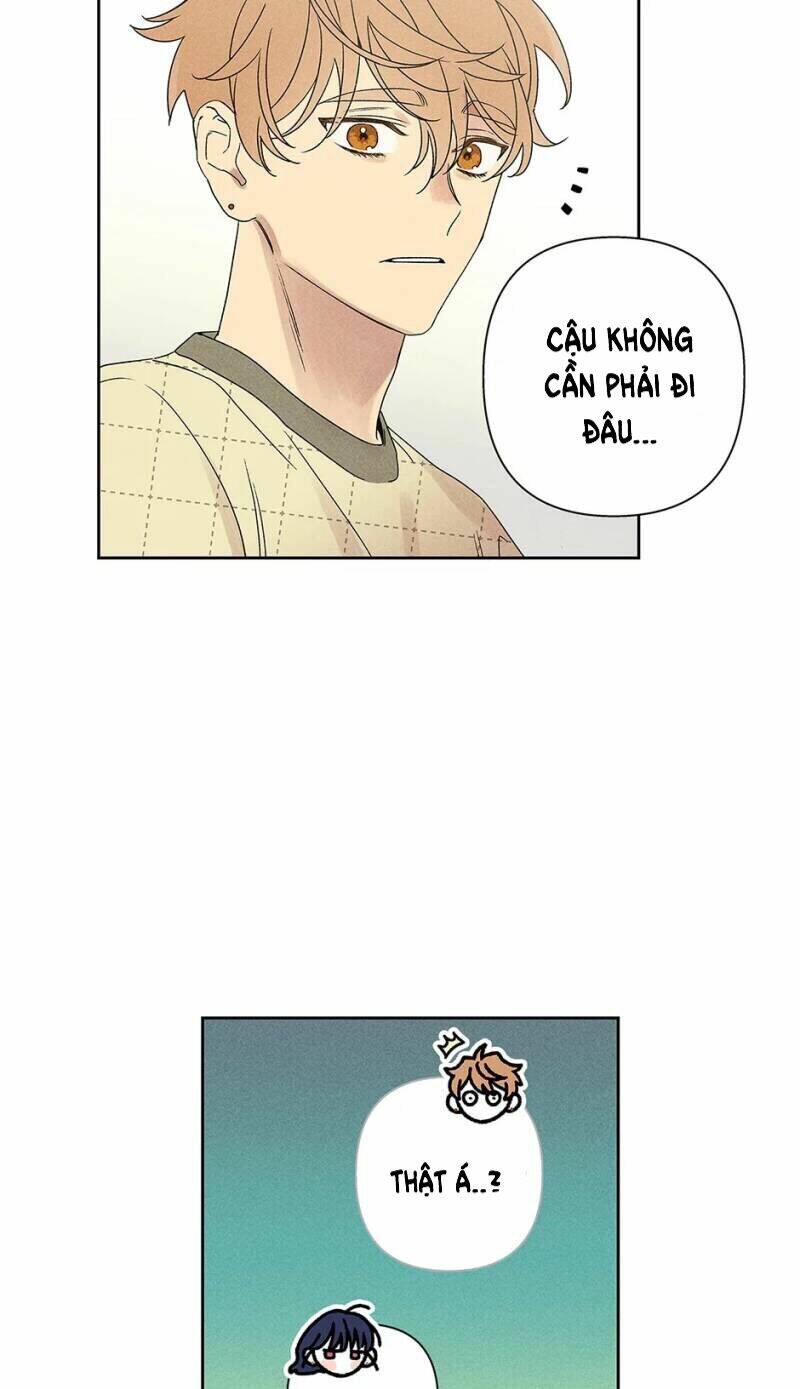 Bạn Trai “Ma Quái” Ngọt Ngào: Chapter 5