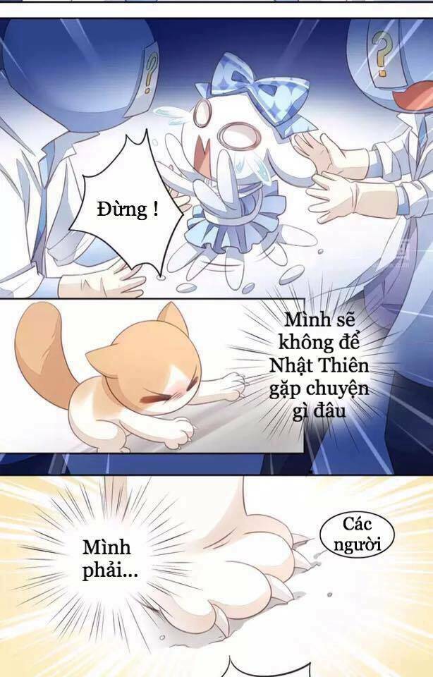 Dưới Móng Vuốt Mèo: Chapter 15