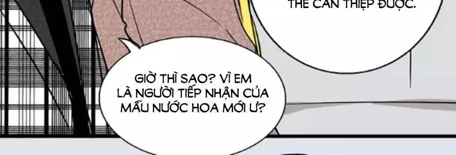 Mùi Hương Lãng Mạn: Chapter 40