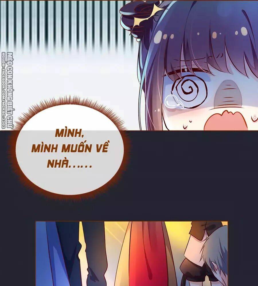 Boss Khủng Bố Chiếm Đoạt Ta: Chapter 1