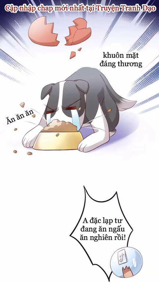 Dưới Móng Vuốt Mèo: Chapter 17