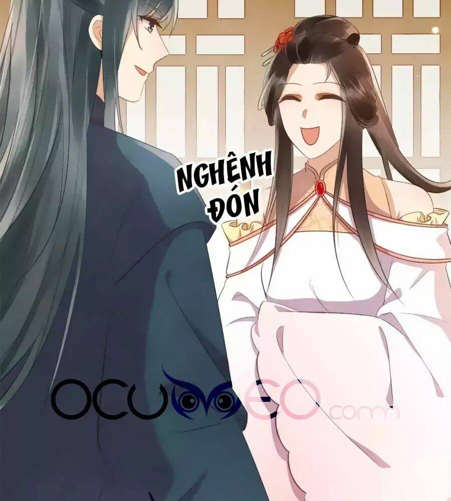 Vương Phi Muốn Trèo Tường: Chapter 41