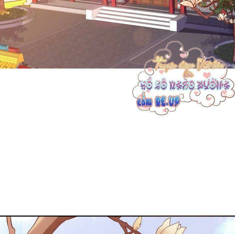 Quận Chúa Vững Vàng, Thiết Lập Nhân Vật Không Thể Vỡ: Chapter 3