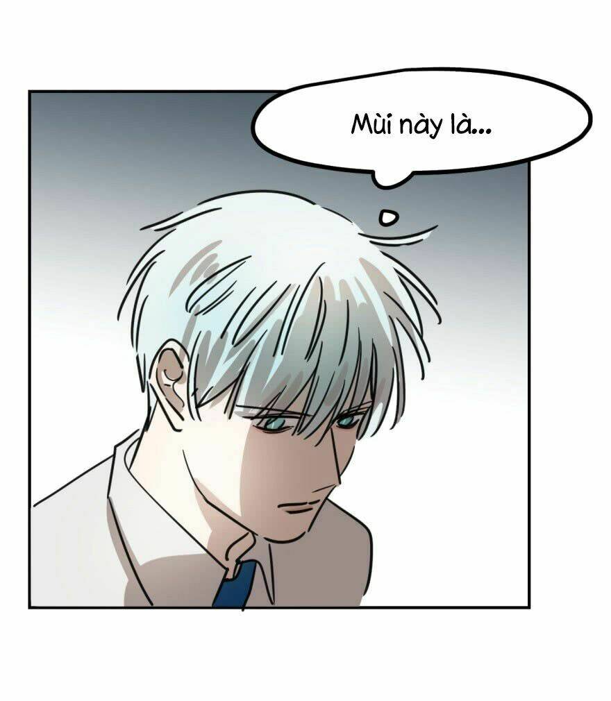 Truy Bắt Ngao Ngao: Chapter 6