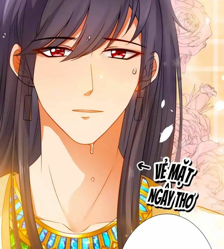 Sủng Hậu Của Vương: Chapter 5