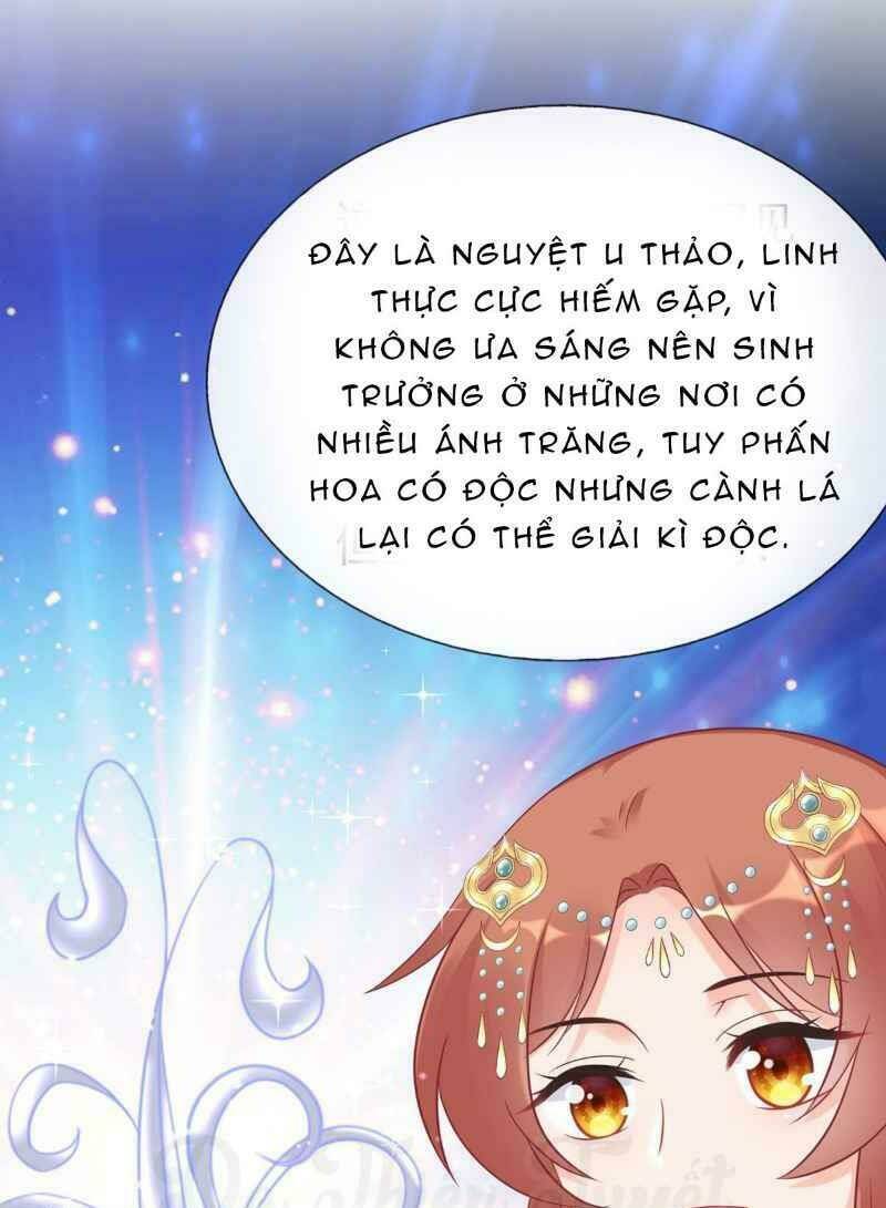 Nhân Vật Phản Diện Biến Thành Sủng Vật: Chapter 8