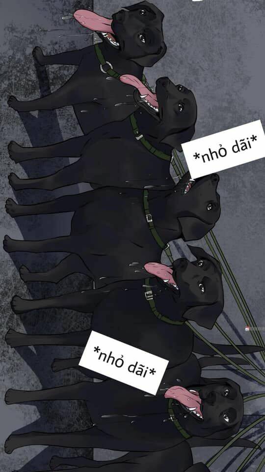 Giày Thủy Tinh: Chapter 23