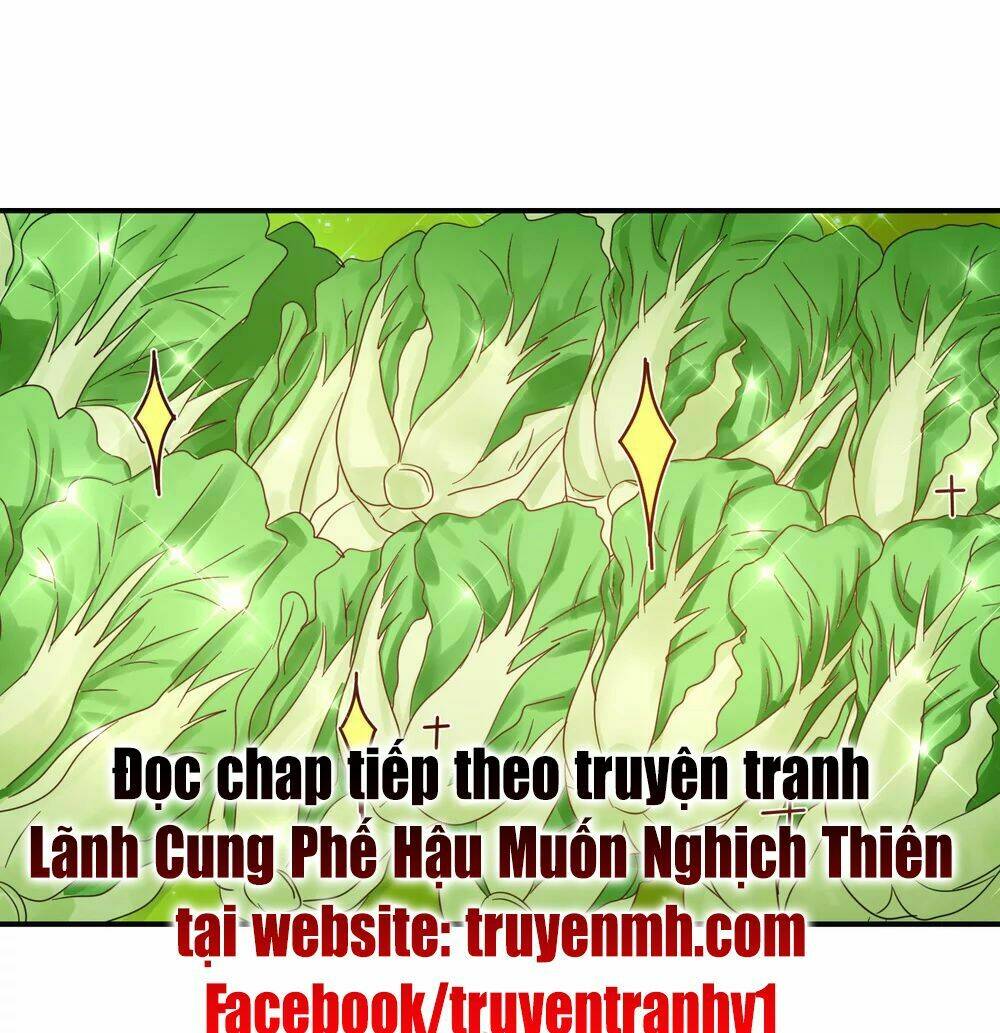 Lãnh Cung Phế Hậu Muốn Nghịch Thiên: Chapter 147