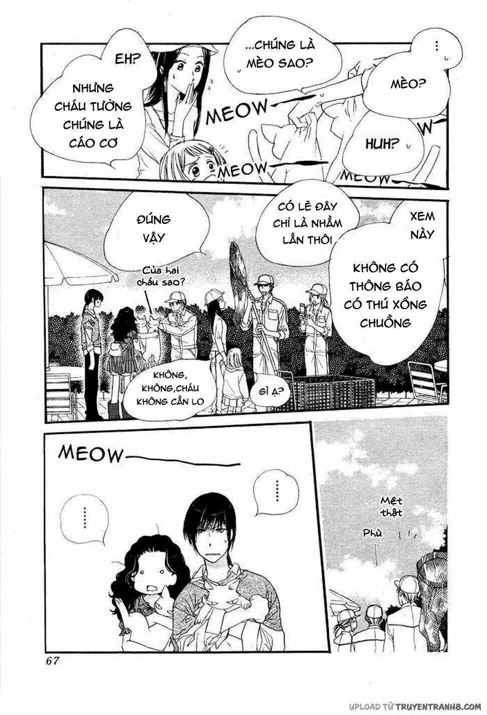 Orange Chocolate: Chapter 8