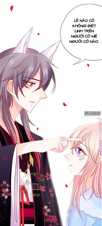 Hồ Tiên Hung Bạo: Chapter 6