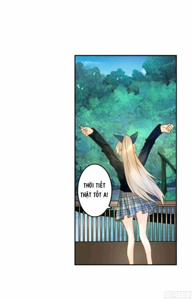 Ta Kim Chủ Bị Người Đoạt: Chapter 8