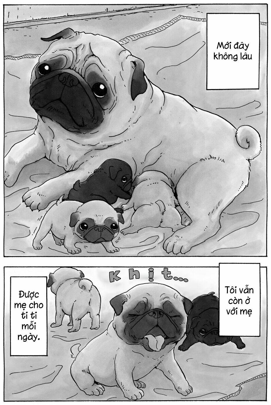 Hoshi Mamoru Inu: Chapter 9