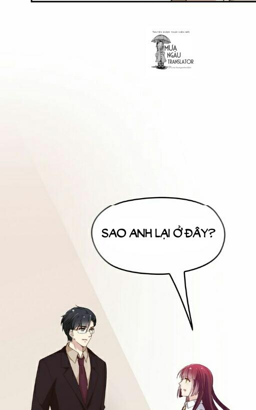 Tổng Tài Hai Mặt Sủng Thê Chỉ Nam: Chapter 10