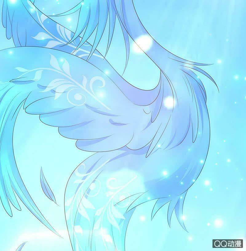 Băng Sơn Học Trưởng Không Được Chọc: Chapter 52.2