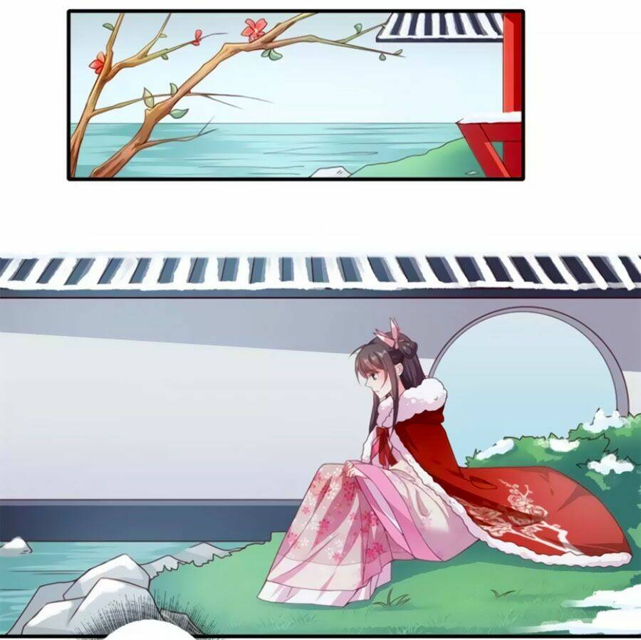 Khuynh Thế Y Phi Muốn Bỏ Chồng: Chapter 51