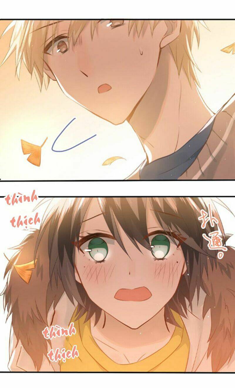 Đầu Gấu Biết Yêu: Chapter 105