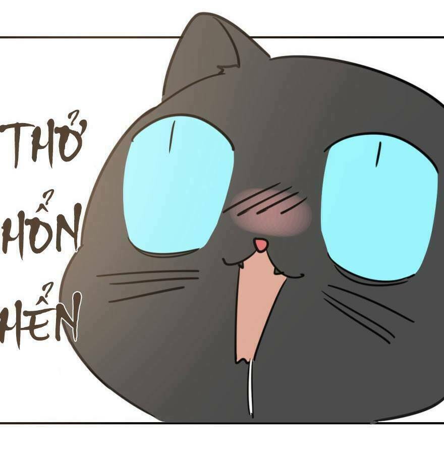 Truy Bắt Ngao Ngao: Chapter 25