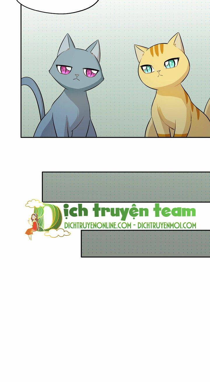 Cuộc Sống Kỳ Thú: Chapter 97