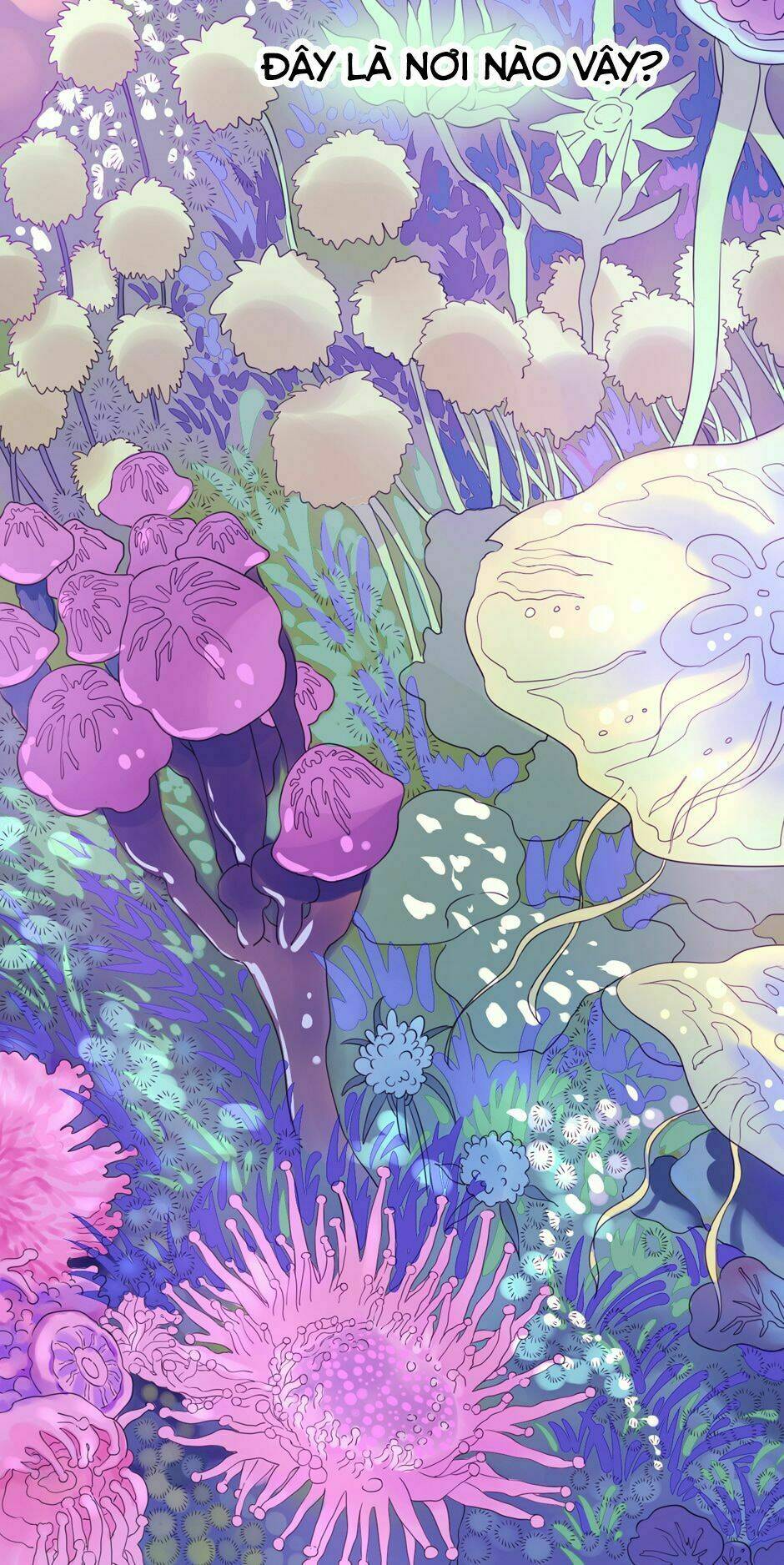 Hiệp Sĩ Của Nữ Hoàng: Chapter 6