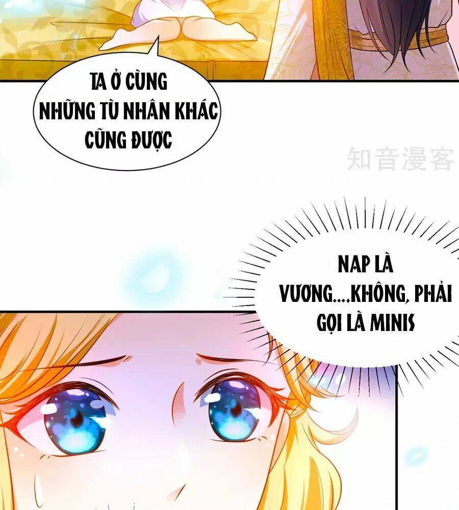 Sủng Hậu Của Vương: Chapter 8