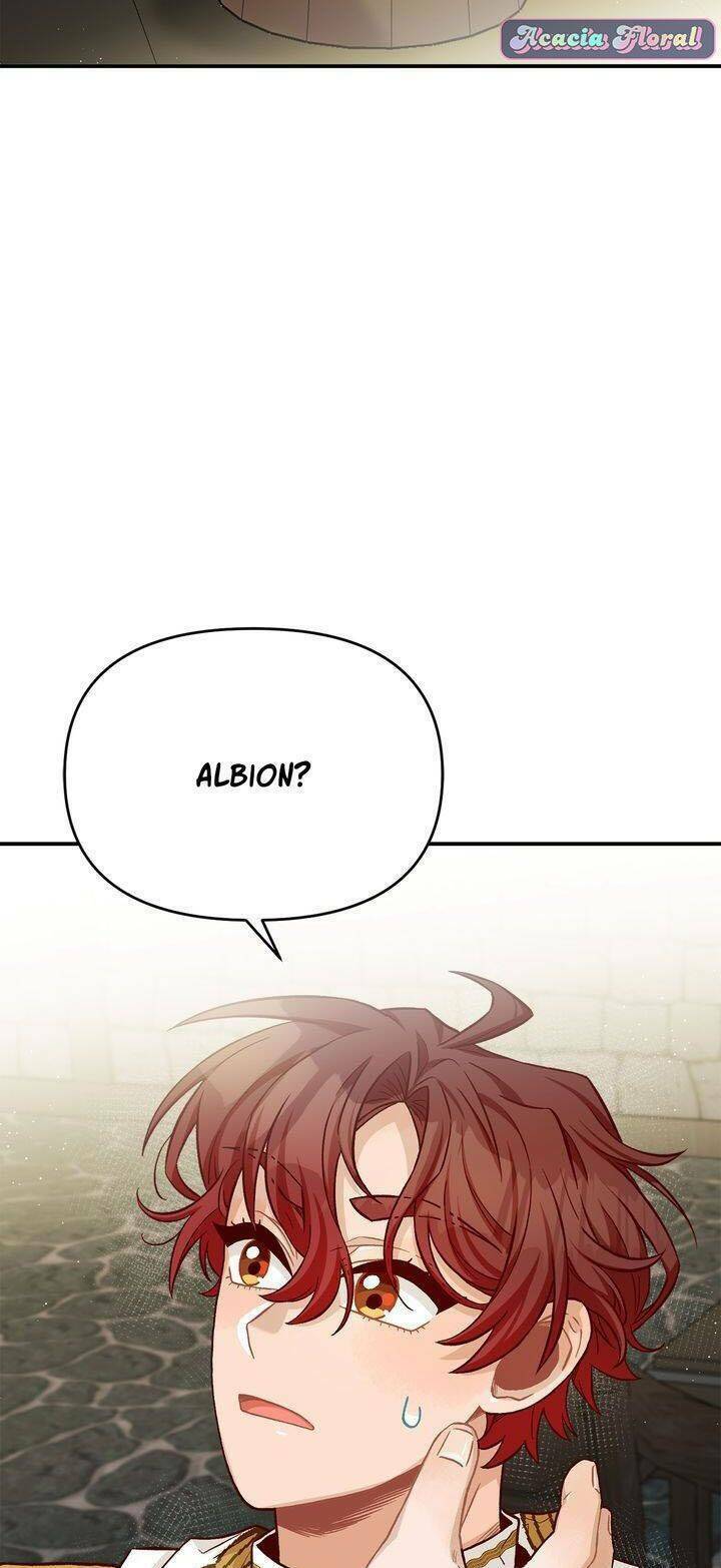 Aristité Được Ban Phước Một Lời Nguyền: Chapter 9