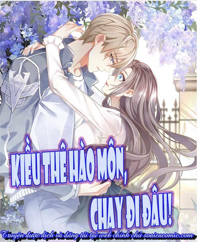Kiều Thê Hào Môn Chạy Đi Đâu: Chapter 2