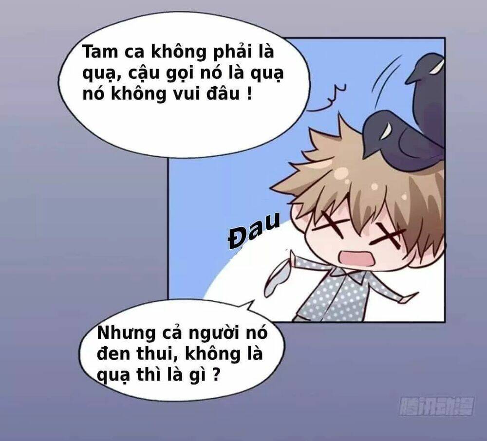 Chạy Đi Âm Sai: Chapter 100