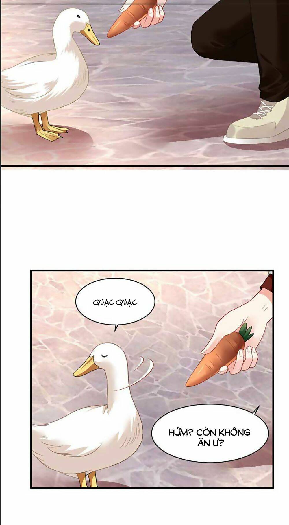 Bạn Trai 1/4 Của Tôi: Chapter 41