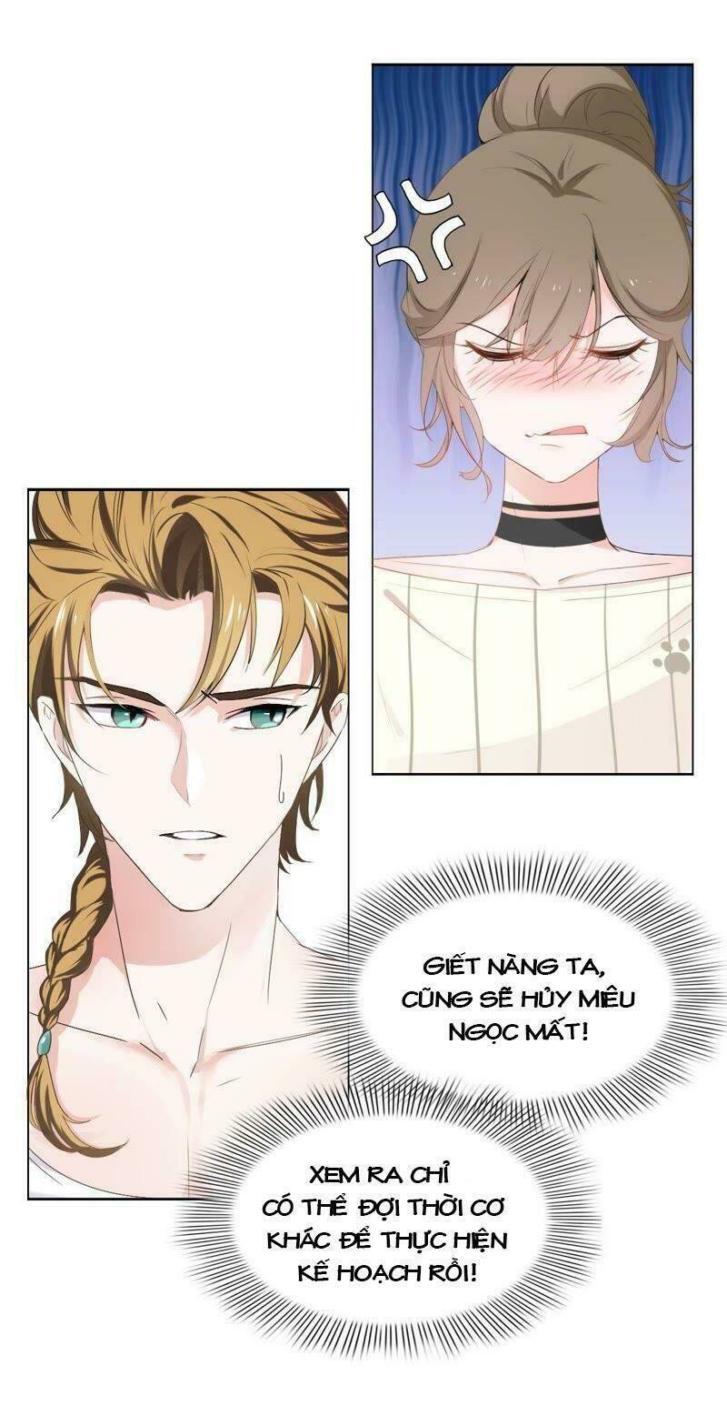 Thập Nhị Hắc Miêu: Chapter 2