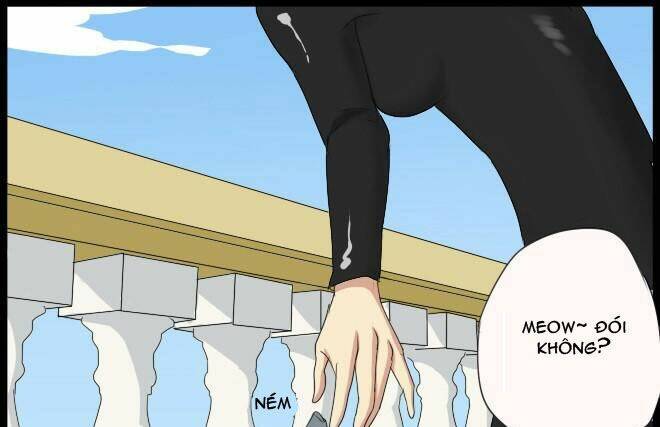 Future trial: Chapter 10