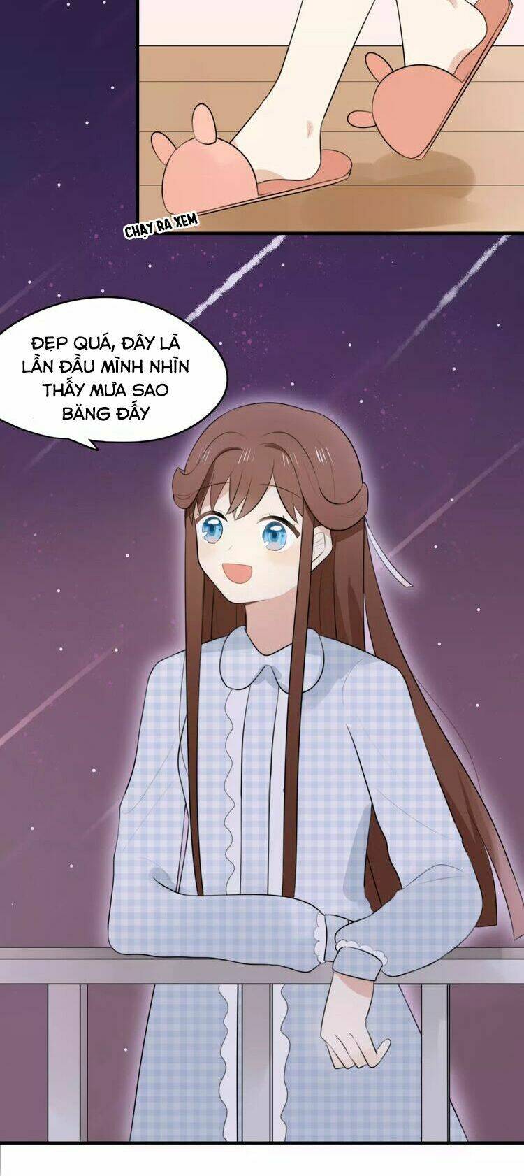 Tiểu Miêu Và Hắc Diệu Thạch: Chapter 1