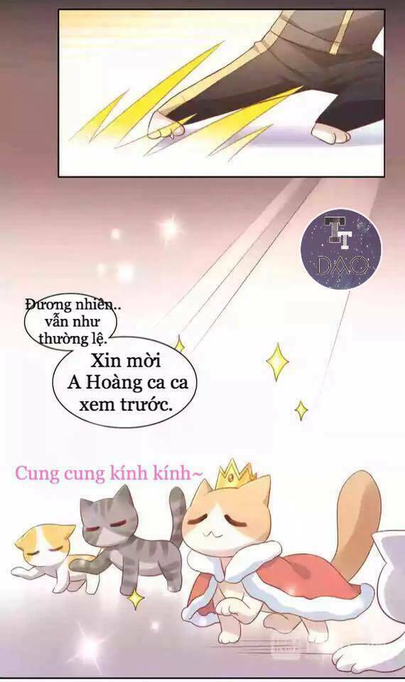 Dưới Móng Vuốt Mèo: Chapter 12