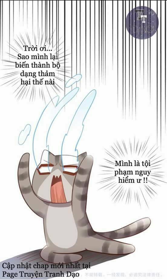 Dưới Móng Vuốt Mèo: Chapter 2