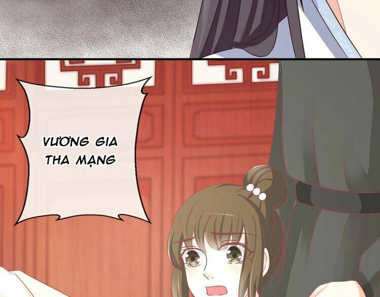 Báo Cáo Vương Gia, Vương Phi Là Một Con Mèo: Chapter 4