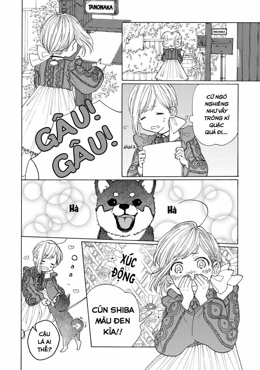 Bí Mật Của Madoka: Chapter 1