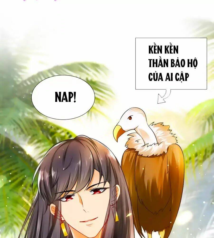 Sủng Hậu Của Vương: Chapter 4