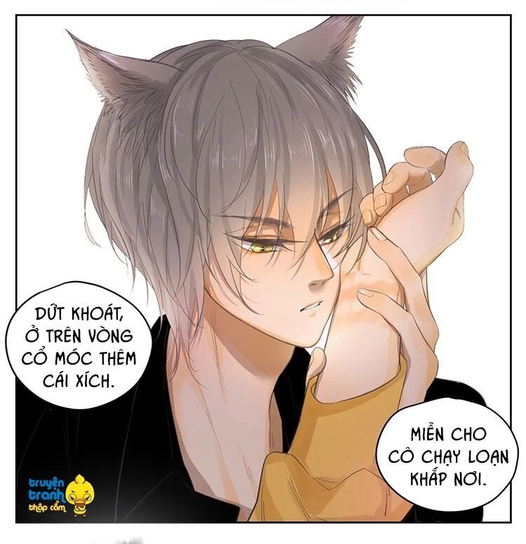 Cứu mạng ! Loài mèo thống trị thế giới rồi !: Chapter 21