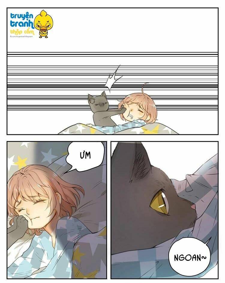 Cứu Mạng! Loài Mèo Thống Trị Thế Giới Rồi!: Chapter 26