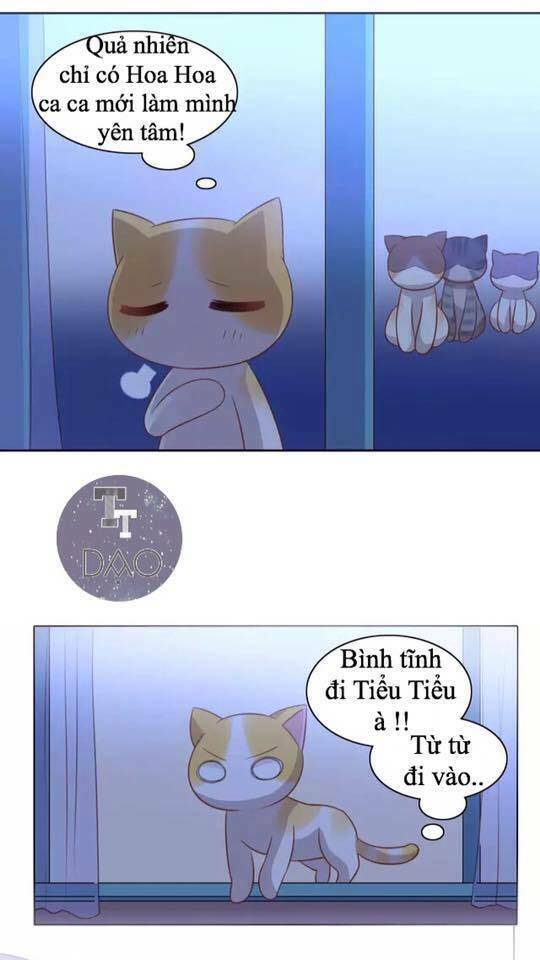 Dưới Móng Vuốt Mèo: Chapter 13