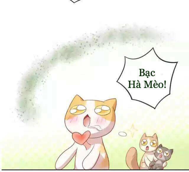 Dưới Móng Vuốt Mèo: Chapter 12