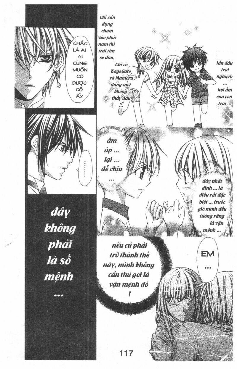 Trái Tim Kim Cương: Chapter 1