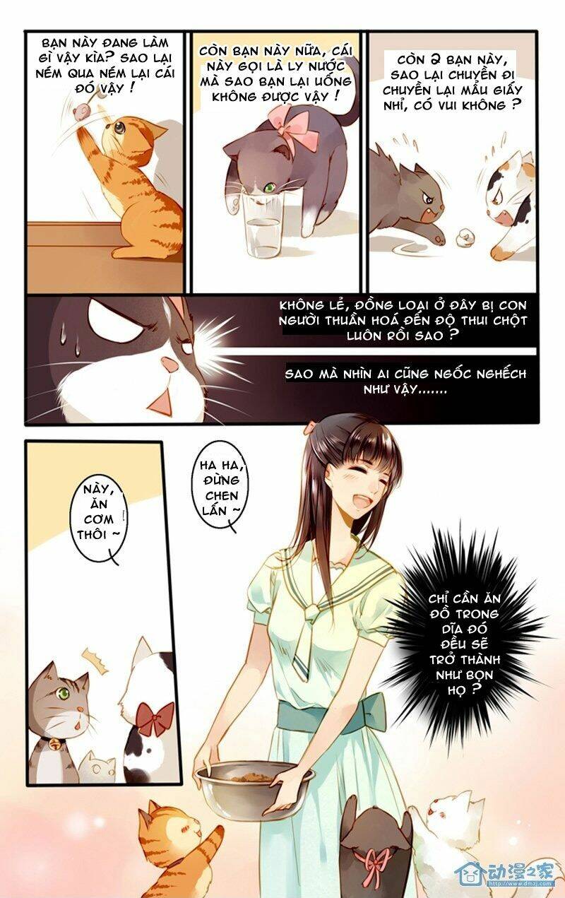 Hằng Mộng Nam Thần: Chapter 22