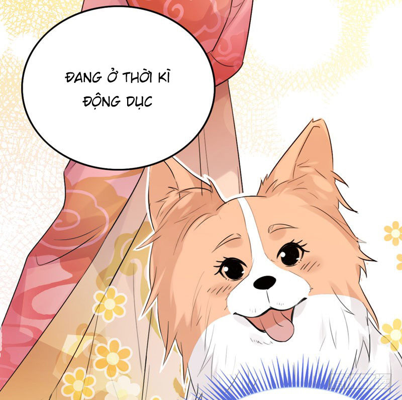 Lụ Đạn, Hôm Nay Lại Cũng Không Thể Biến Thành Người Được: Chapter 3