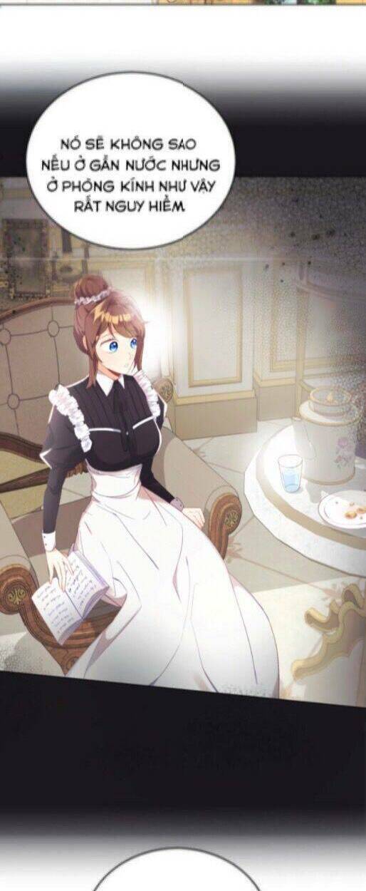 Baby Dragon: Chapter 9