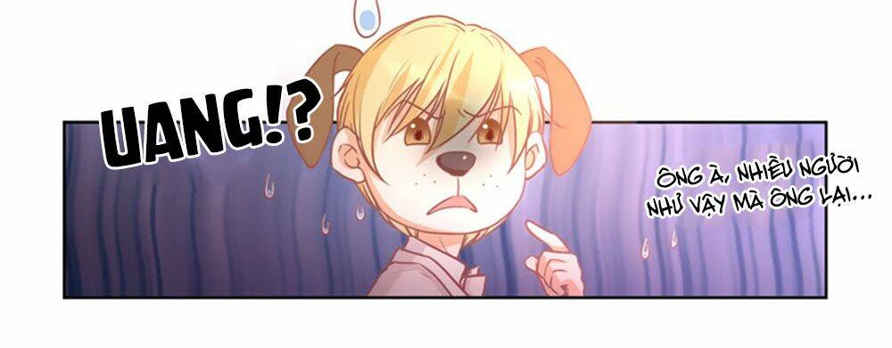 Lưu Luyến Nguy Tình: Chapter 11