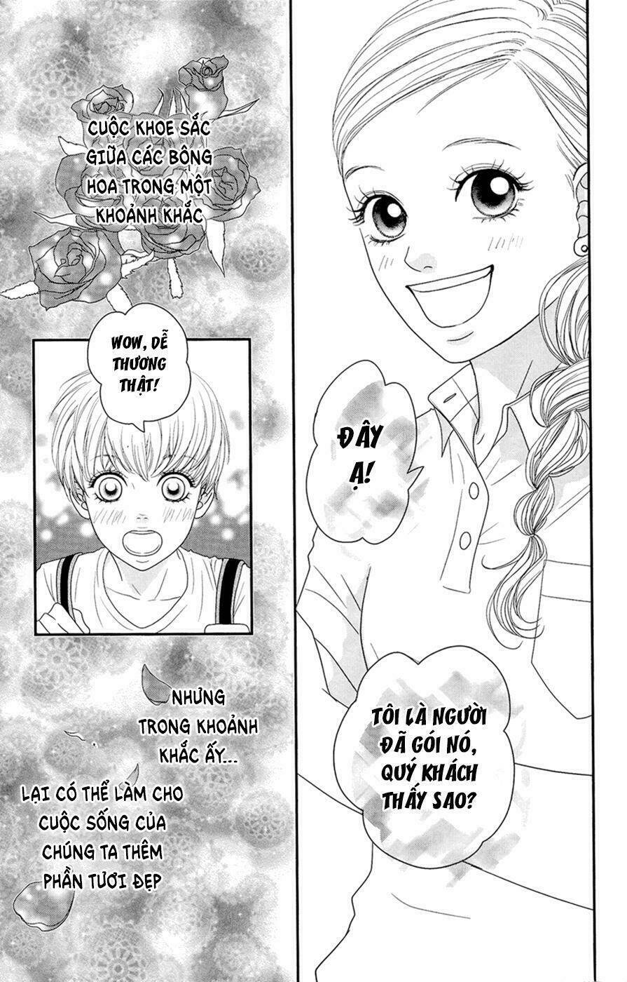 Đóa Hoa Năm Ấy: Chapter 4