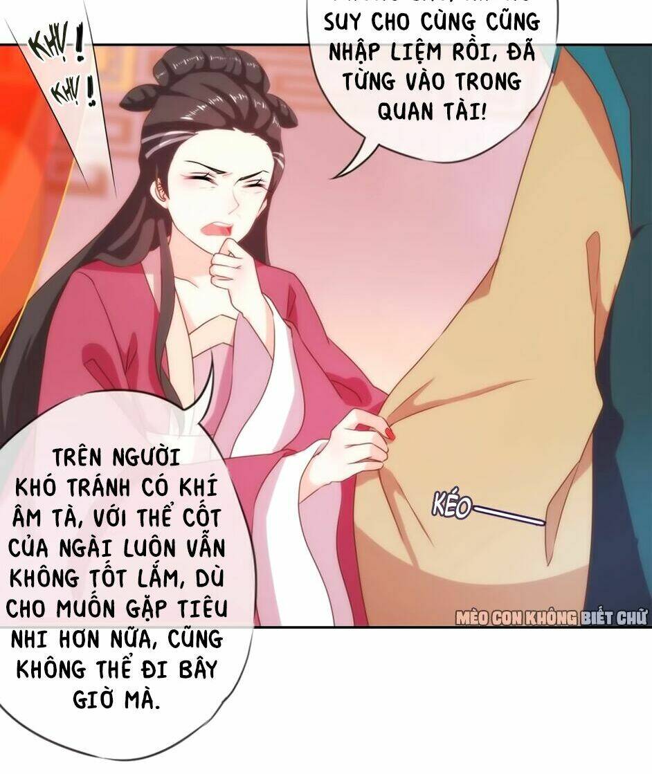 Ồ, Sủng Phi Đại Nhân Của Ta: Chapter 2