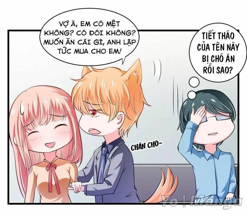 Thiểm Hôn Kinh Ái: Chapter 100